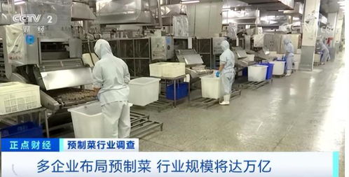 预制菜匆忙进校园,家长抵制 凭什么从学校开始 宁不读书也不吃